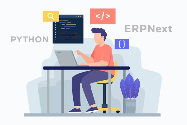 PYTHON ERPNext